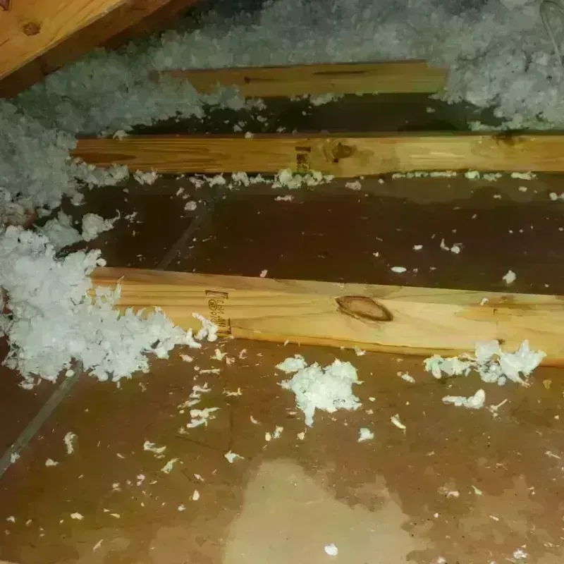 Attic Water Damage in Brooklyn, MI