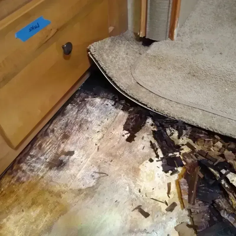 Wood Floor Water Damage in Brooklyn, MI